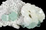 Green Apophyllite, Heulandite & Stilbite Association - India #135814-1